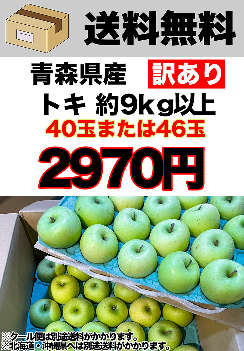 青森県産りんご  トキ コンパクトボックス