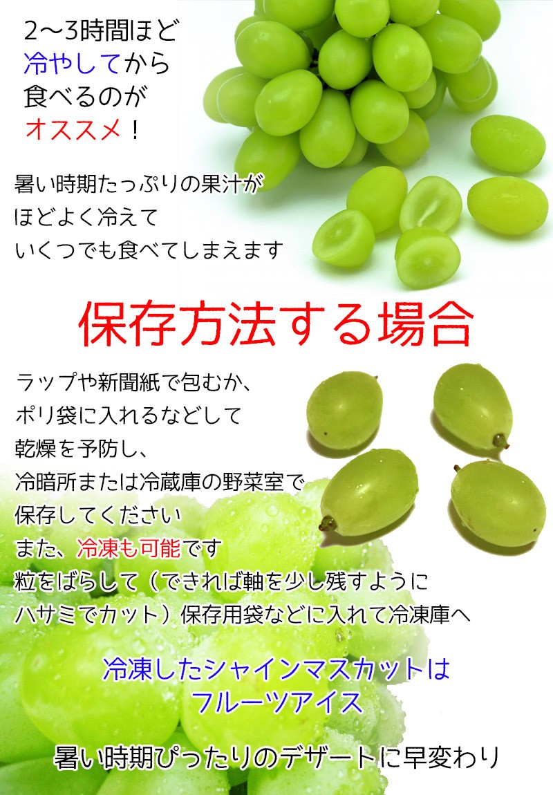 ぶどう シャインマスカット 山梨県産 シャインマスカット 2房入 1.4kg