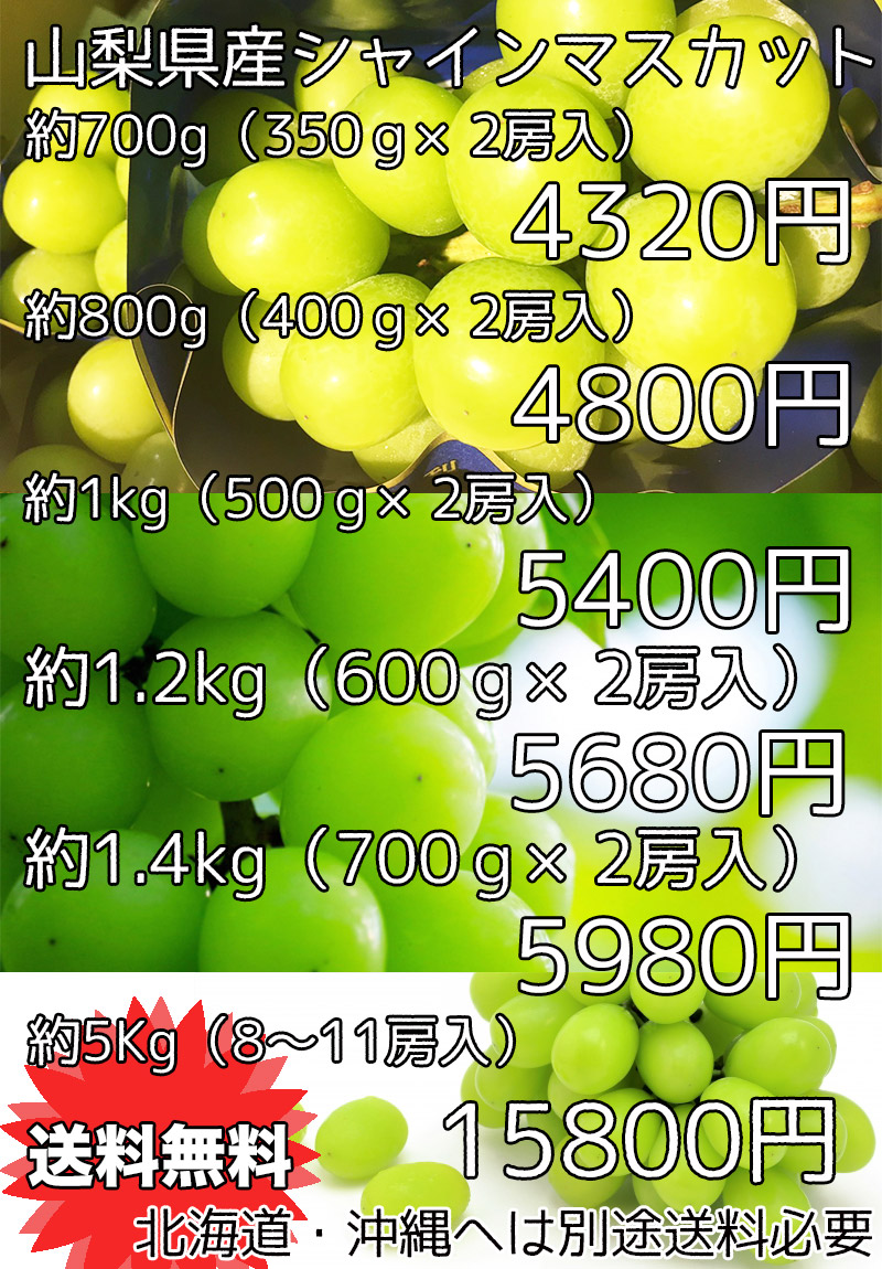 ぶどう シャインマスカット 山梨県産 シャインマスカット 8〜11房入 5Kg ギフト 敬老の日 マスカット クール便 送料無料 :  sinyama01-500 : 大和屋 旬果庵 - 通販 - Yahoo!ショッピング