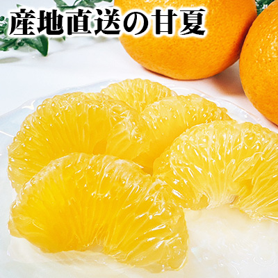 みっきーさん専用！！　☆甘夏10キロ&レモン5キロ(箱込み)☆　家庭用 Amazon.co.jp: 紅甘夏 みかん 10キロ 秀品 贈答用 3Lサイズ