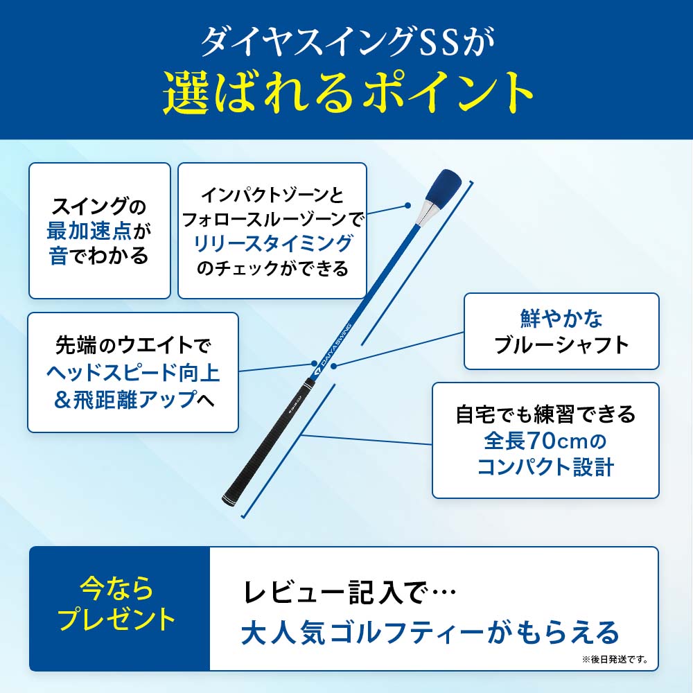 【新品・未開封】DAIYA SWING SS ダイヤスイングSS TR-5007 ダイヤコーポレーション ダイヤスイングSS TR-5007 (ゴルフ練習