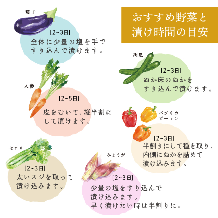 京つけもの 大安 熟成ぬか床 JK-S 800g 送料無料 大安 糠床 ぬか漬