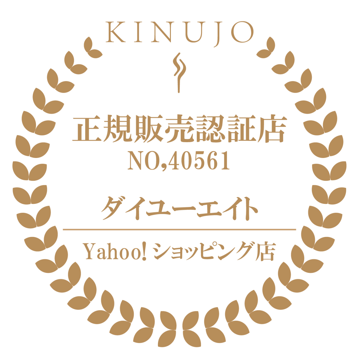 KINUJO W DS100 (WH) ホワイト ストレートヘアアイロン 海外兼用 