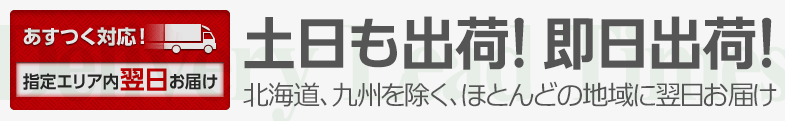 最短翌日お届け!