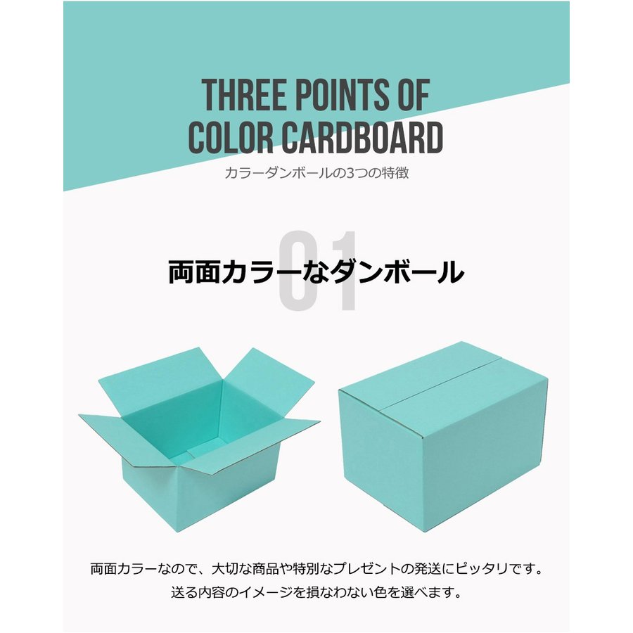 dcolor10020_4.jpg