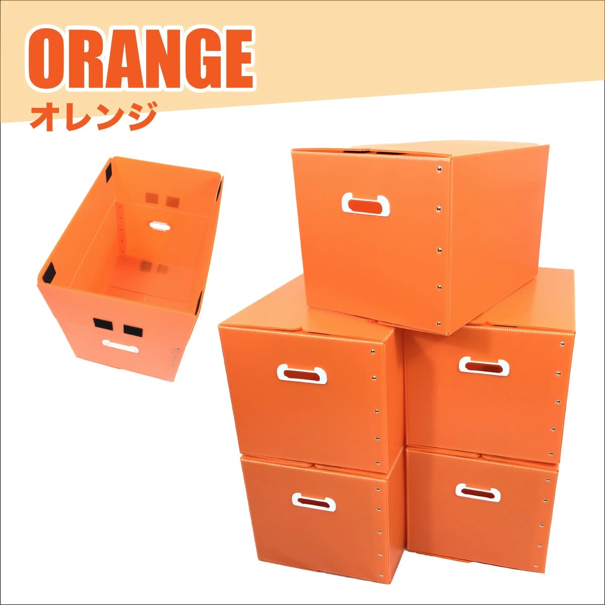 折りたたみ式プラダン製収納BOX 5枚セット（全5色) 53cm×38cm×33cm