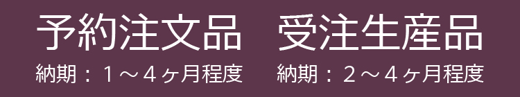 社交ダンスシューズ MDS 予約注文 受注生産。お届けまで所定の日数がかかります。ダンスシューズ通販ですので、万が一のダンスシューズサイズ交換にそなえて、余裕を持ってご注文下さい。クッションダンスシューズ MAJEST マジェストの通信販売を是非ご利用下さい。