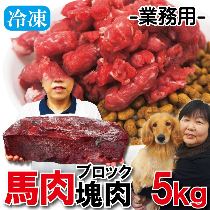 塊肉5kｇ端切れ馬肉 業務用 冷凍ブロック ペットフード ドッグフード