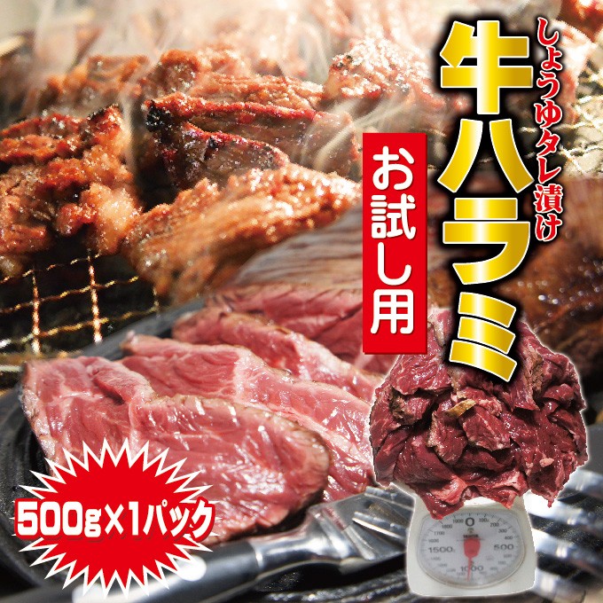 味付牛ハラミ 500ｇ冷凍品（500ｇ×1袋) サガリ バーベキュー 焼肉 ホルモン :10000171-otameshi:そうざい 男しゃく -  通販 - Yahoo!ショッピング