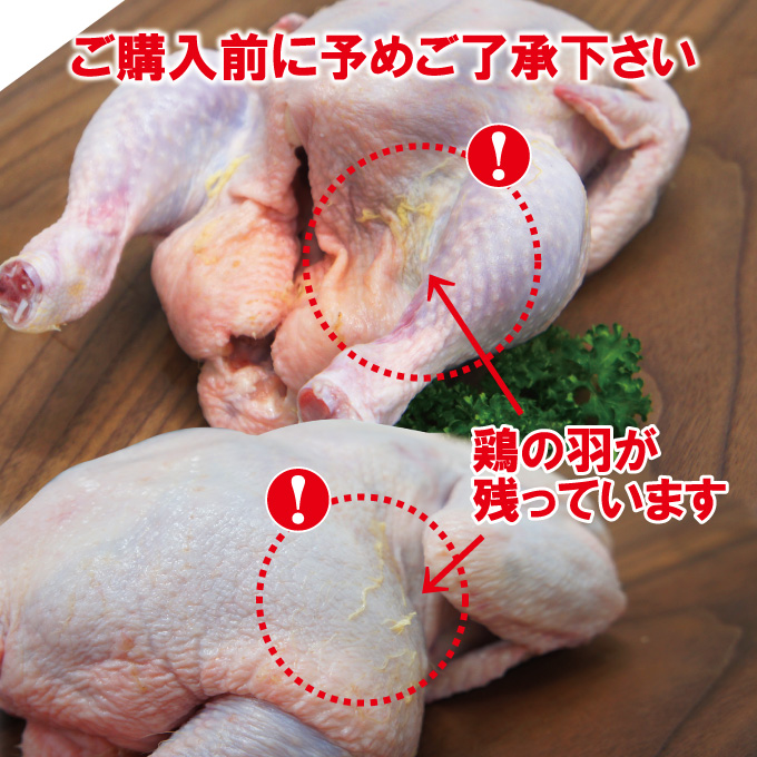 丸鶏肉中抜き800g冷凍 1羽ローストチキン用などに ブラジル産