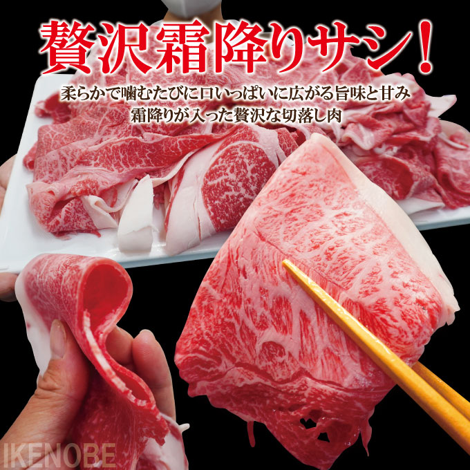 贅沢霜降りサシ黒毛和牛切り落としすき焼き用など1kg 500gx2 贅沢霜降りサシ黒毛和牛切り落としすき焼き用など1kg 500gx2