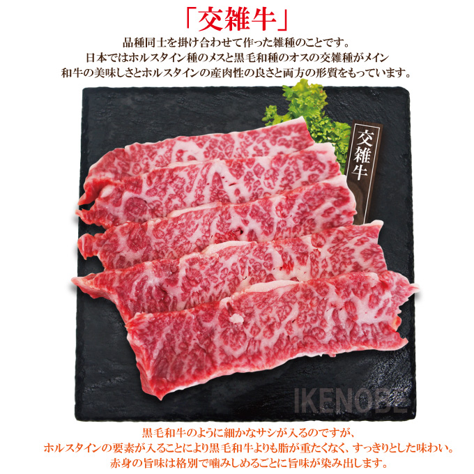 楽天市場】バーベキュー プレゼント 宮崎県産 黒毛和牛 牛タン