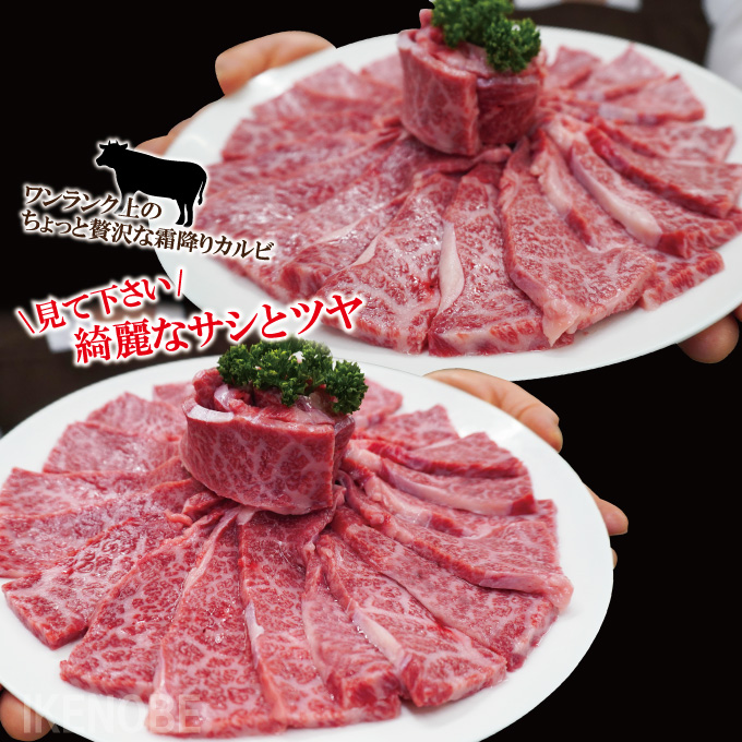 サシ抜群霜降りカルビ黒毛和牛・国産牛・交雑牛使用 500g 冷凍