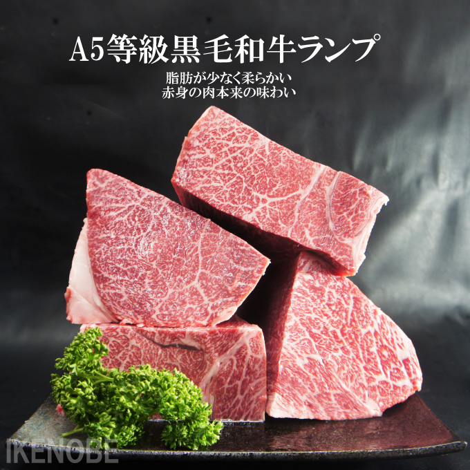 最大76%OFFクーポン 数量限定 きたかみ牛 上 カルビ 焼肉用 750g 贈答用 お中元 お歳暮 ギフト 国産 和牛 牛肉 fucoa.cl