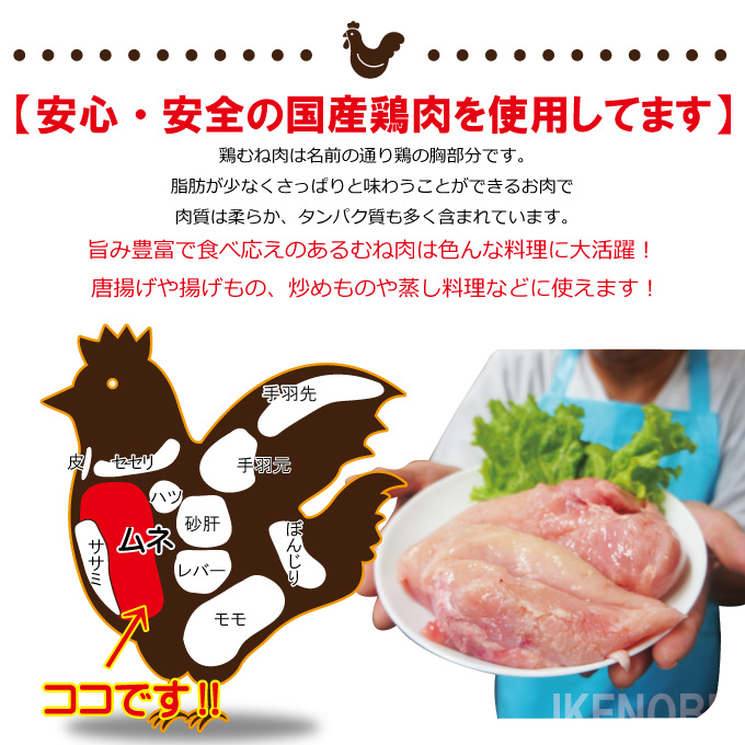 国産鶏むね正肉冷凍訳ありB品2kg ムネ 胸肉 鶏肉 鳥 国内産 鶏肉
