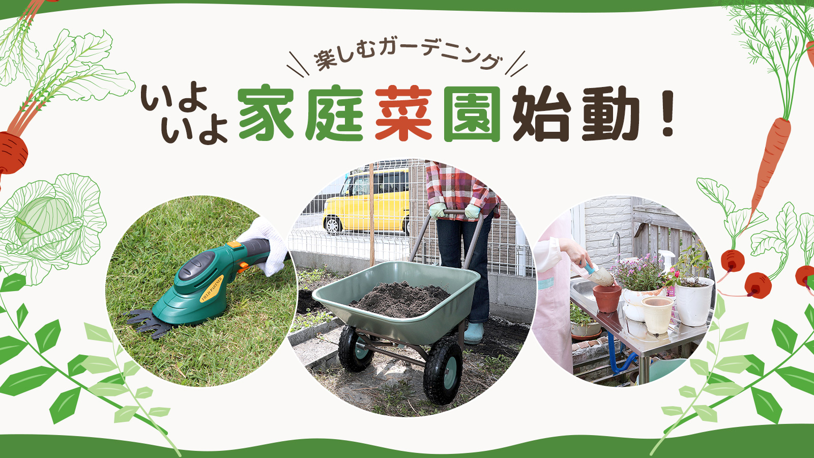 ダントツonline Yahoo!店 - Yahoo!ショッピング
