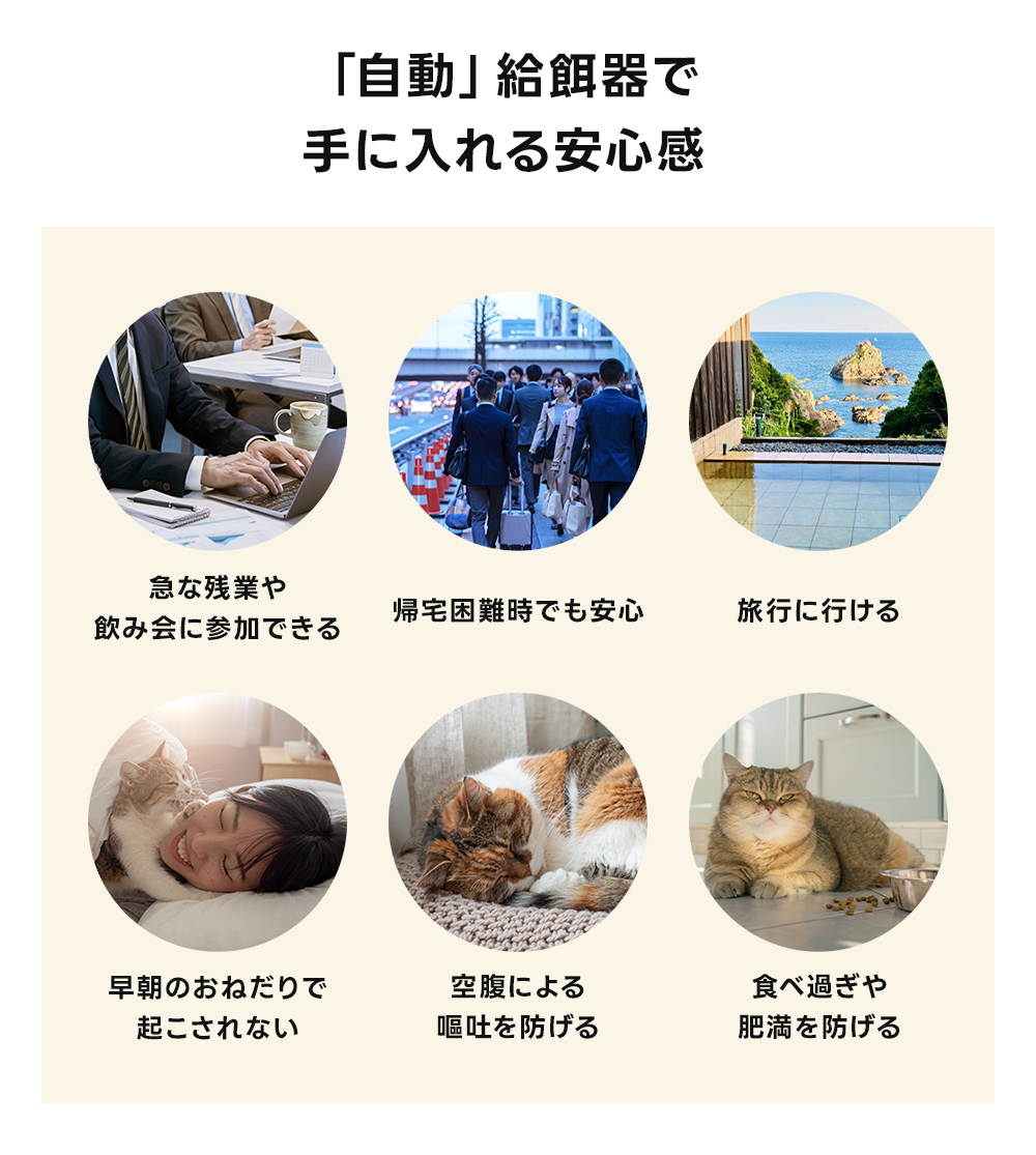 自動給餌器 自動給水器 猫 犬 自動餌やり機 ...の詳細画像3