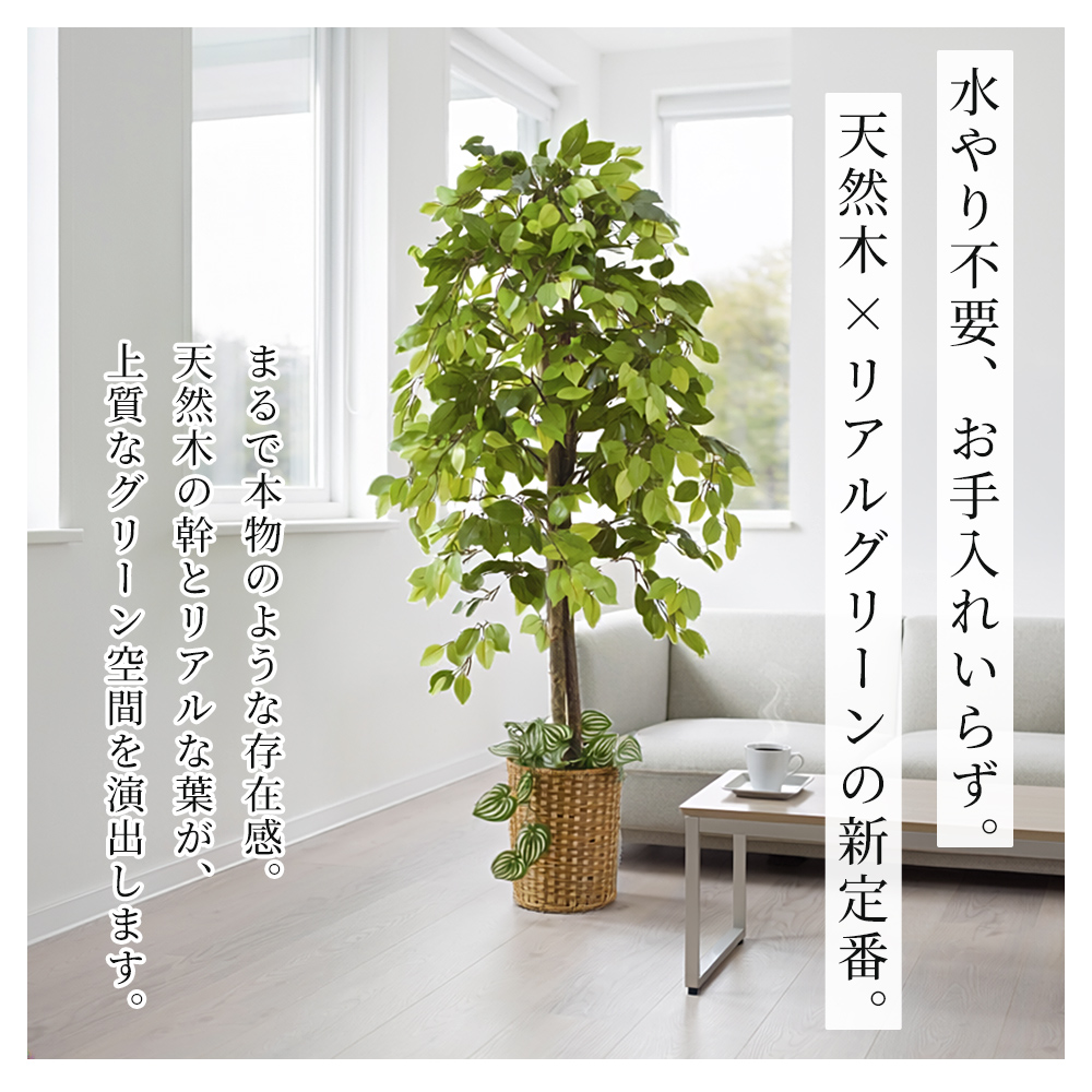 ベンジャミン 観葉植物 大型 高さ150cm フェイク グリーン おしゃれ 鉢付き プレゼント インテリア リアル フェイクグリーン 人工観葉植物 爆買 関連画像3