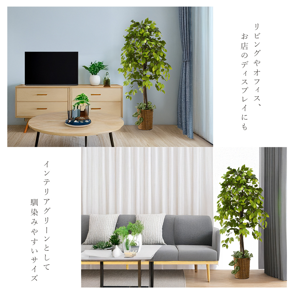 ベンジャミン 観葉植物 大型 高さ150cm フェイク グリーン おしゃれ 鉢付き プレゼント インテリア リアル フェイクグリーン 人工観葉植物 爆買 関連画像4