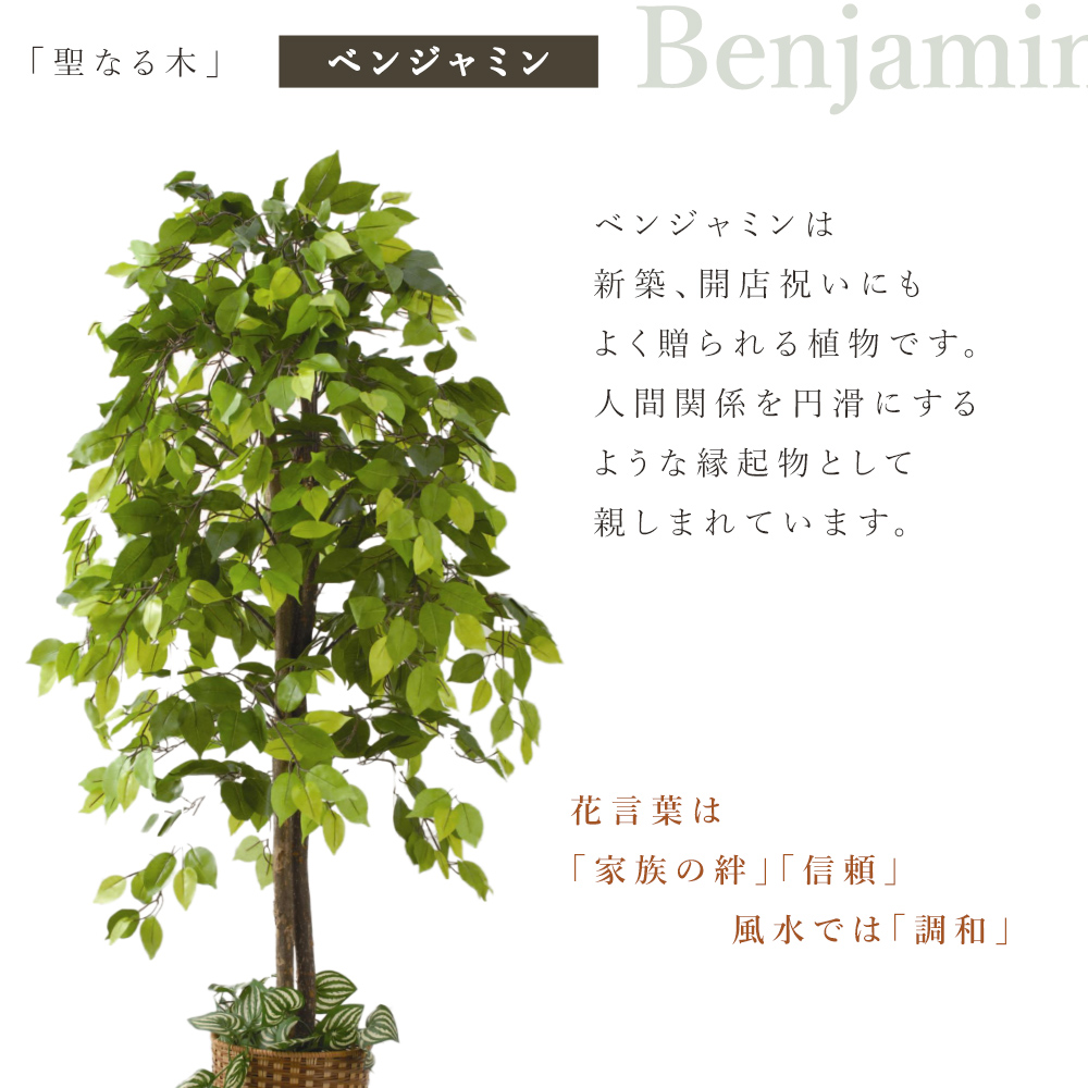 ベンジャミン 観葉植物 大型 高さ150cm フェイク グリーン おしゃれ 鉢付き プレゼント インテリア リアル フェイクグリーン 人工観葉植物 爆買 関連画像5