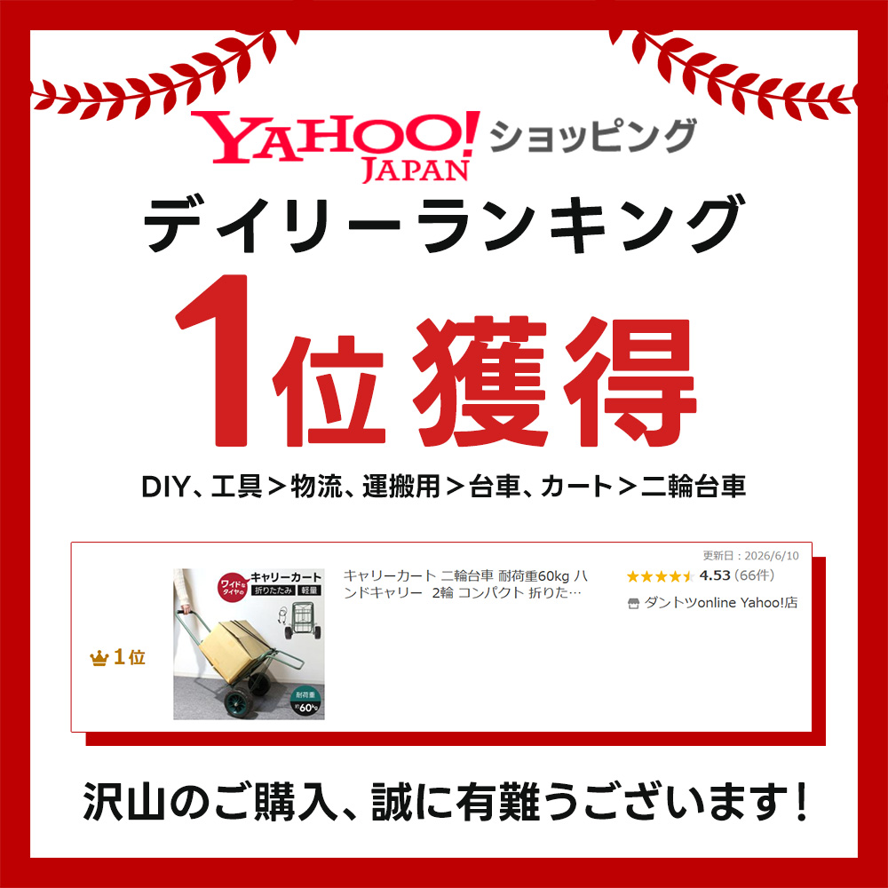 キャリーカート 二輪台車 耐荷重60kg ハン...の詳細画像1