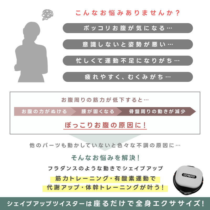 シェイプアップツイスター 電動 エクササイズ バランス運動 有酸素