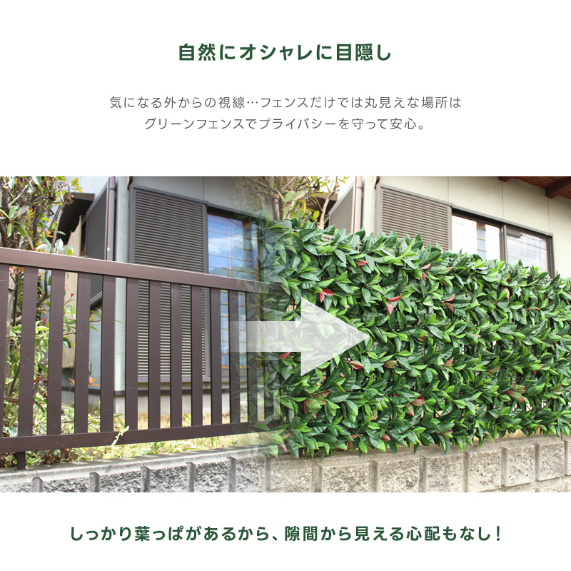 楽天市場】グリーンフェンス 1m×3m 緑のカーテン 目隠し