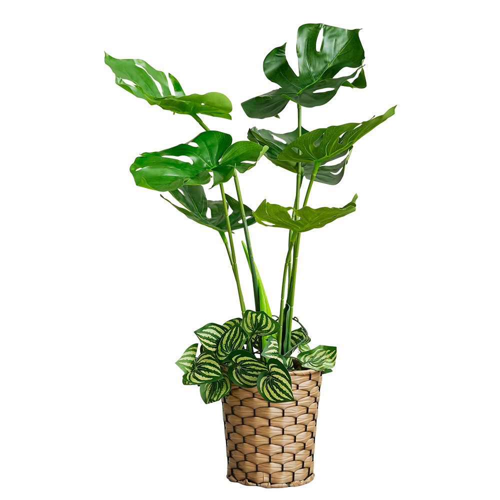 フェイクグリーン モンステラ 観葉植物 フェイク 大型 73cm 人工観葉