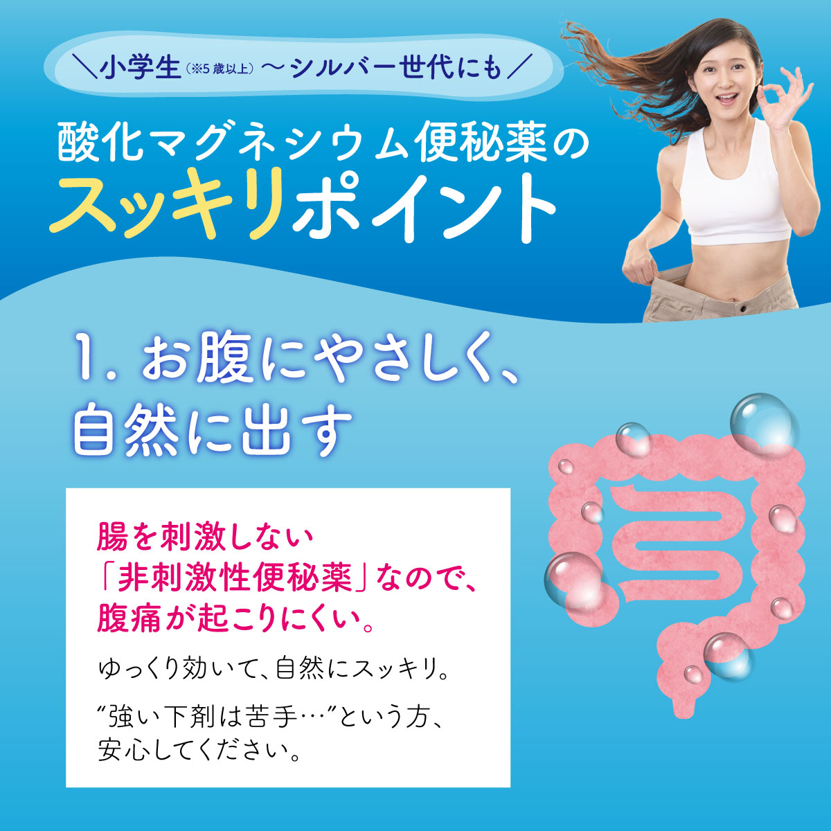 酸化マグネシウムお試しセット※【新処方】60錠アストルベン錠S＆【従来品】アストルベン400錠の酸化マグネシウム便秘薬を新旧お試し。　第3類医薬品 |  | 04