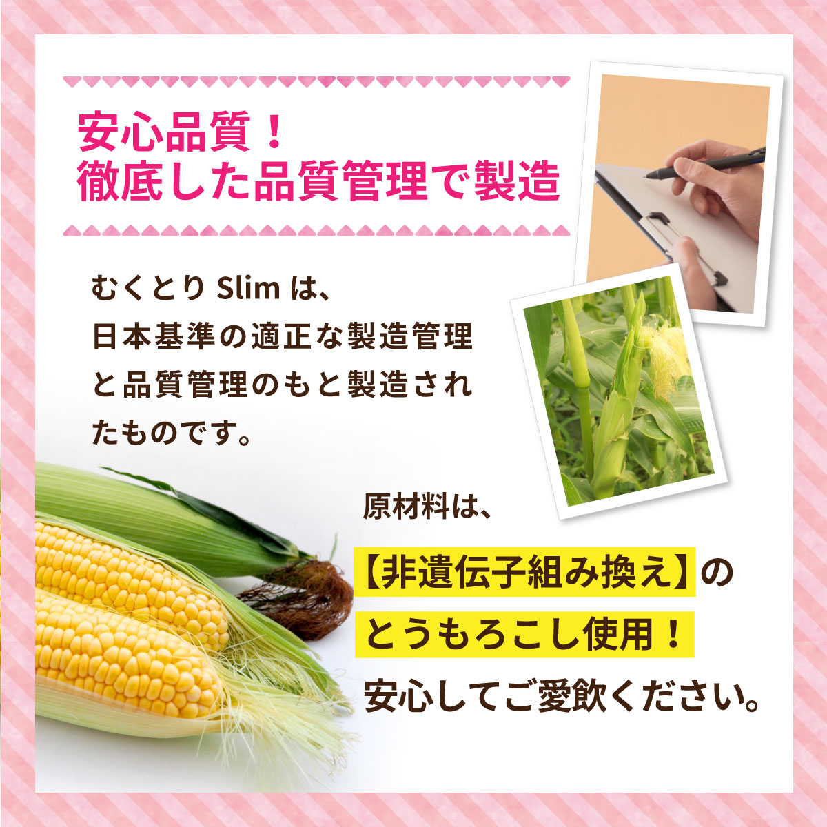 【初回限定】お1人様1個まで【ダイエットサプリ】むくとりslim1袋180粒 サプリメント　サラシア・コーンシルク・カリウム・どくだみ　ダイエットをサポート！ |  | 13