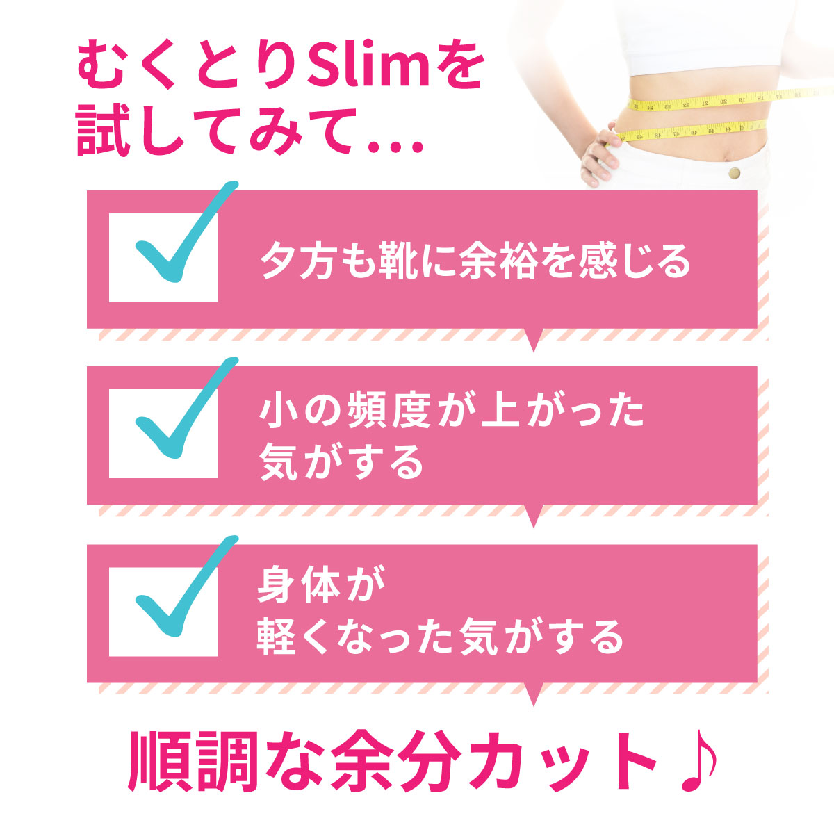 【初回限定】お1人様1個まで【ダイエットサプリ】むくとりslim1袋180粒 サプリメント　サラシア・コーンシルク・カリウム・どくだみ　ダイエットをサポート！ |  | 11