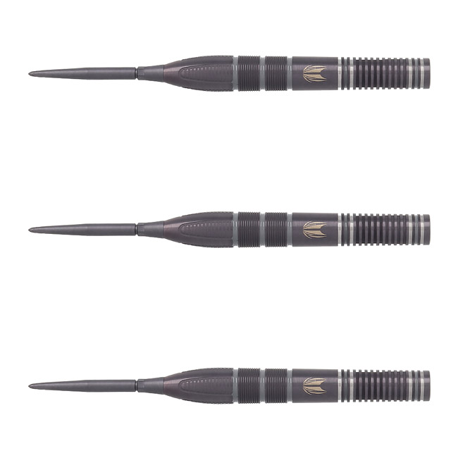 TARGET スティール　ハード　22g アスピナル TARGET(ターゲット) NATHAN ASPINALL×ECHO SWISS POINT STEEL 22g