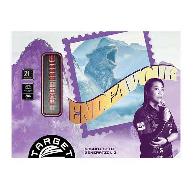 TARGET ENDEAVOUR G2 MAX 2BA 佐藤かす美選手モデル TARGET JAPAN ENDEAVOUR G2 MAX(エンデバー ジェネレーション2