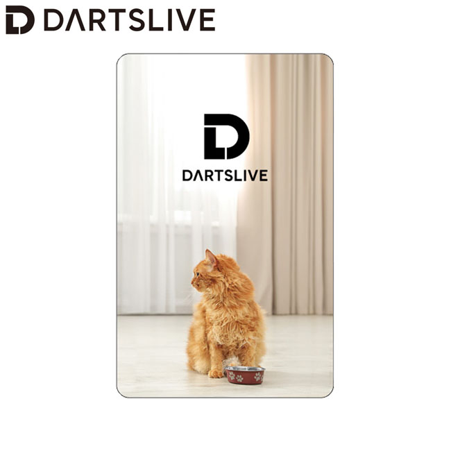 DARTSLIVE CARD #058 ＜07＞ (ダーツ カード) : ダーツ専門店 カウント