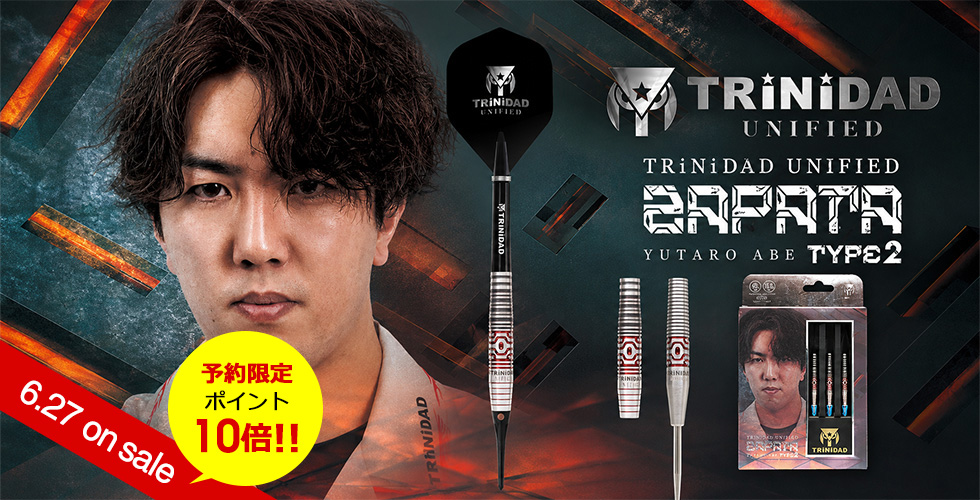 ダーツ tetta Tiga】XING ティガ ダーツ シング 中西信 | ソフトダーツ