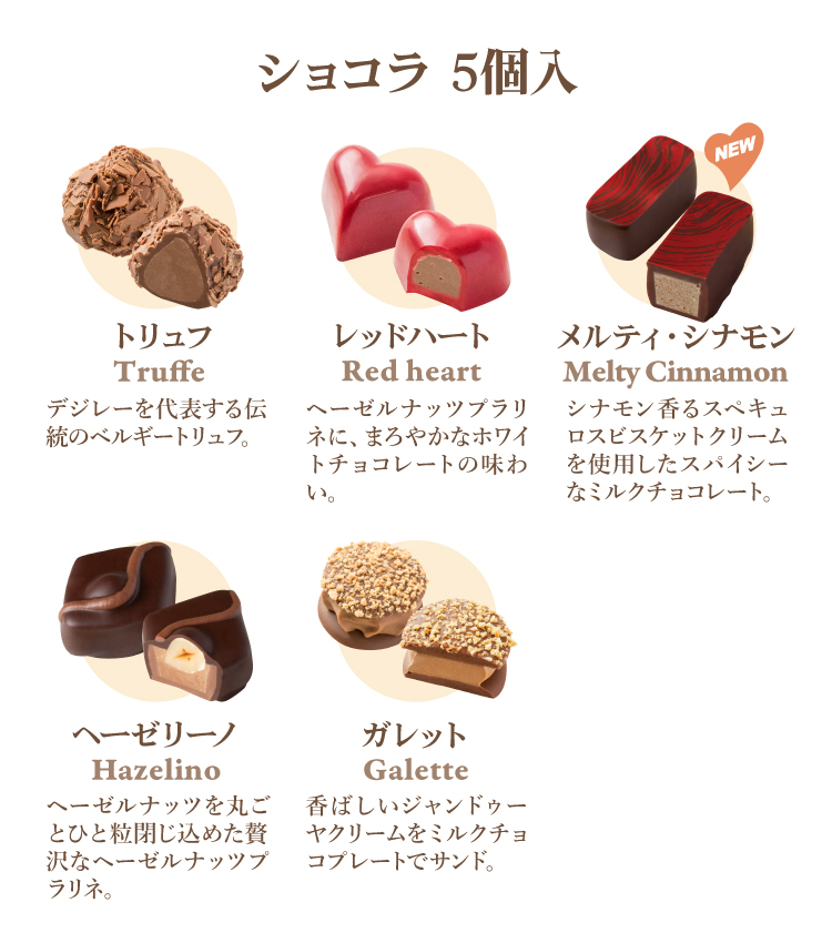 ホワイトデー お返し チョコレート ギフト デジレー ショコラ5個入