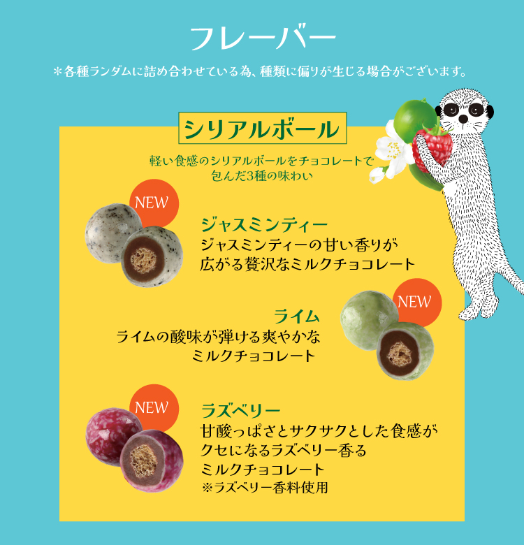 バレンタイン チョコ 2026 ルシャトー バラエティボックス115g 【特典