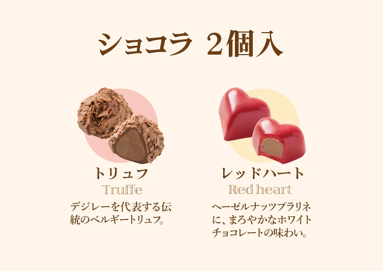 ホワイトデー チョコレート デジレー ショコラ2個入(計13箱