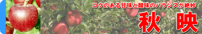 秋映banner