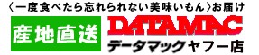 データマックヤフー店 ロゴ