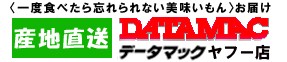 データマックヤフー店 ロゴ