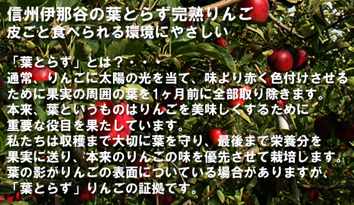 葉とらず減農薬完熟りんご