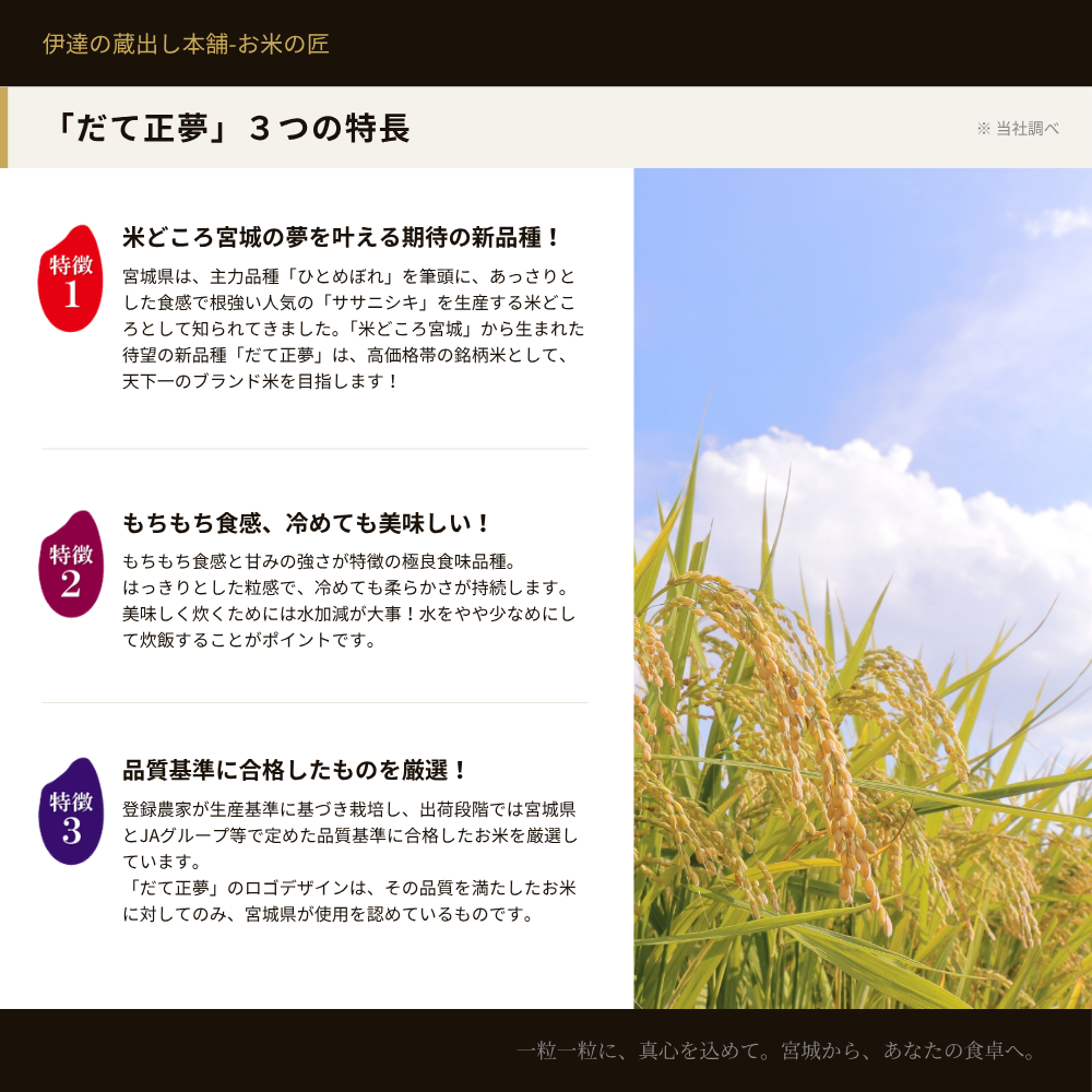 だて正夢 3つの特長 宮城の期待の新品種 もちもち食感・冷めても美味しい 宮城県・JAグループ品質基準合格品を厳選