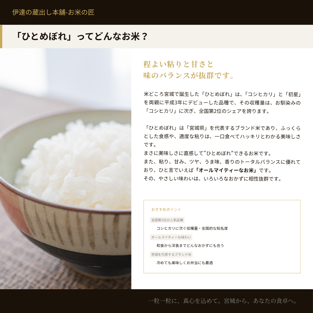 ひとめぼれ 無洗米 10kg(5kg×2袋) 宮城県産 令和7年産 : 伊達の蔵出し
