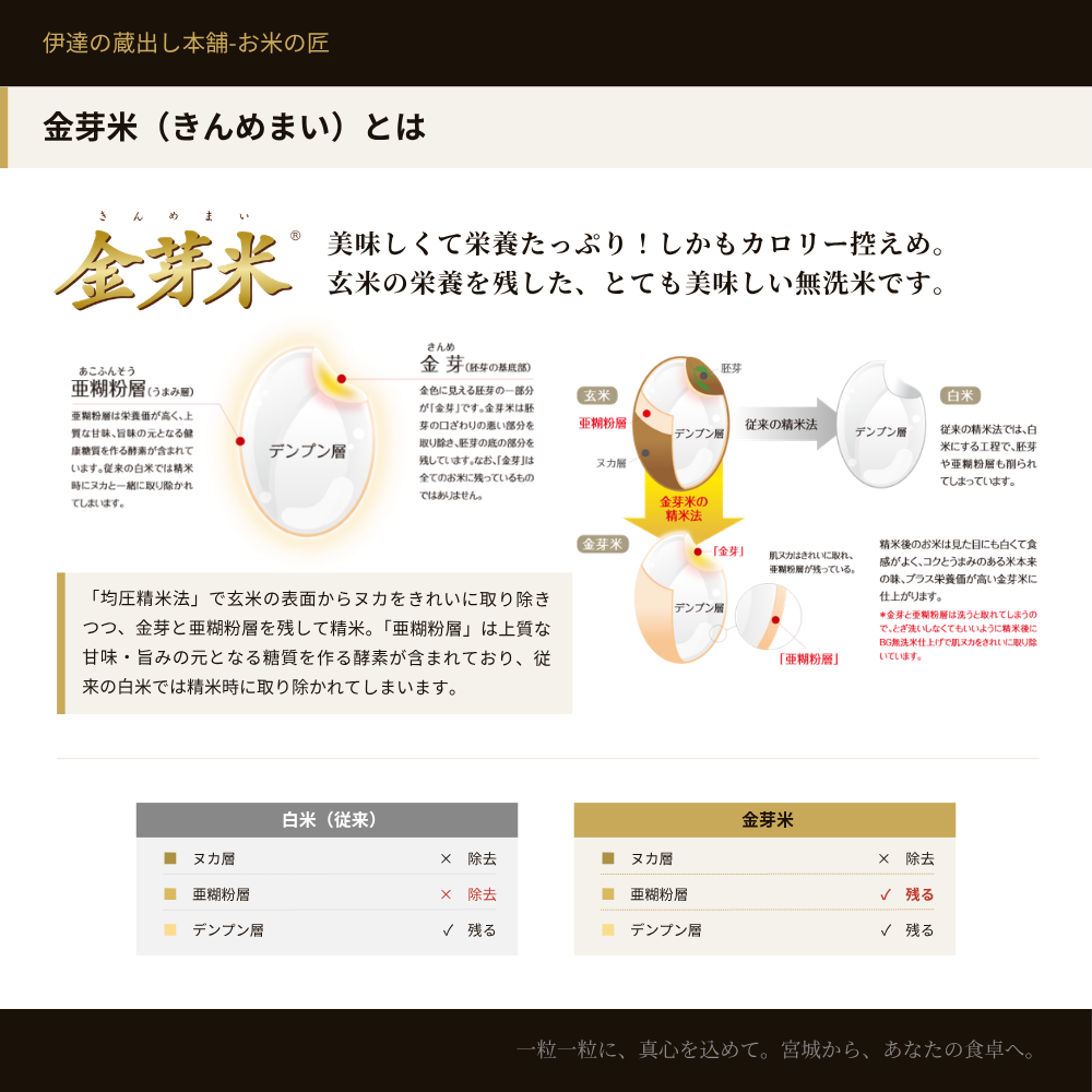 金芽米（きんめまい）とは。均圧精米法で玄米の栄養を残した美味しい無洗米。亜糊粉層（うまみ層）を残すことで上質な甘みと旨みを実現。白米では精米時に除去されてしまう亜糊粉層を金芽米は保持