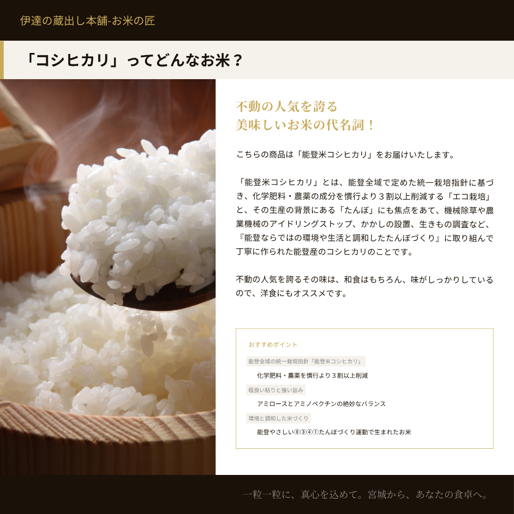 【一等米】石川県産コシヒカリ 30kg 玄米 コシヒカリ 一等米玄米 30kg 石川県産 令和7年産 : 伊達の蔵出し本舗