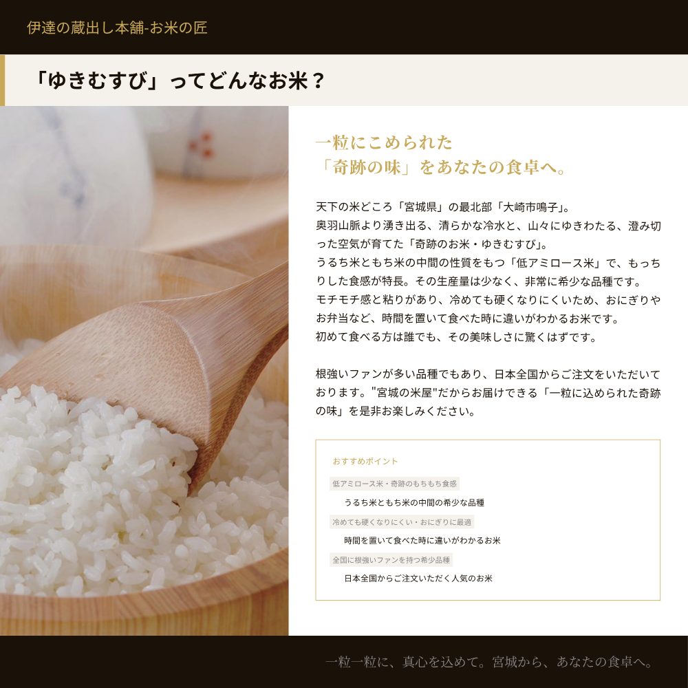 ゆきむすび 5kg 宮城県大崎市鳴子産 令和7年産 : 伊達の蔵出し本舗-お