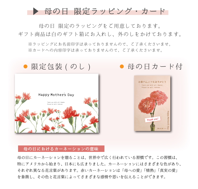 母の日のし・カード