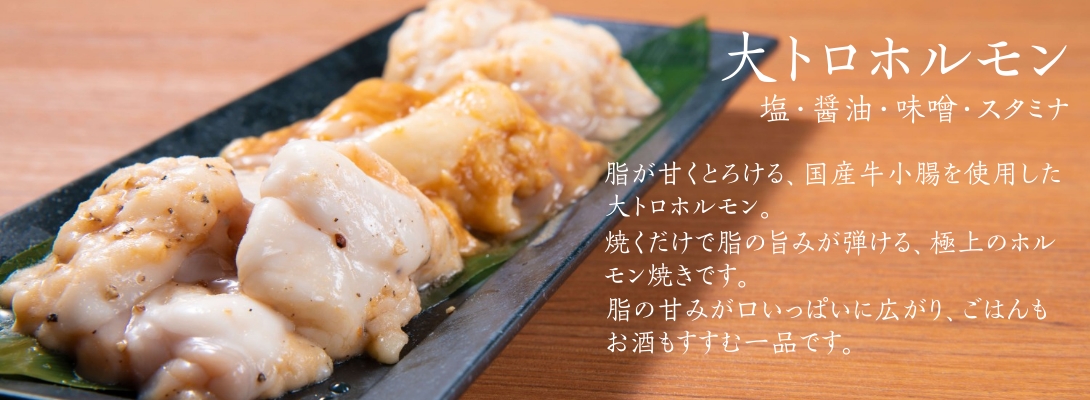 大トロホルモン