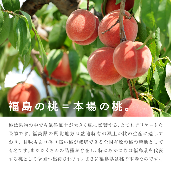 おひとり様2箱まで！】産地直送 訳あり桃 5kg 福島県産 冷蔵便